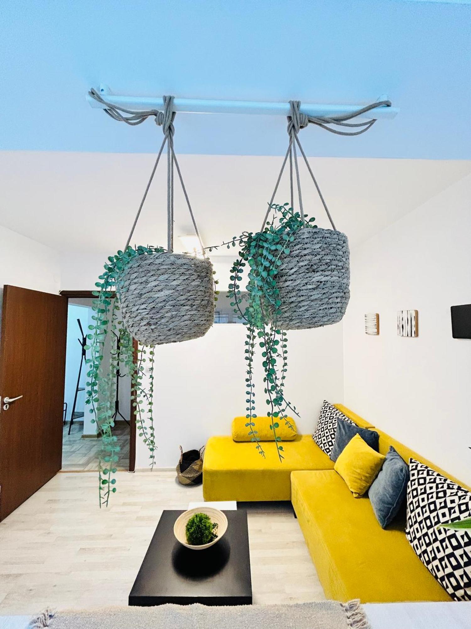 Alisz Apartments Temesvár Kültér fotó