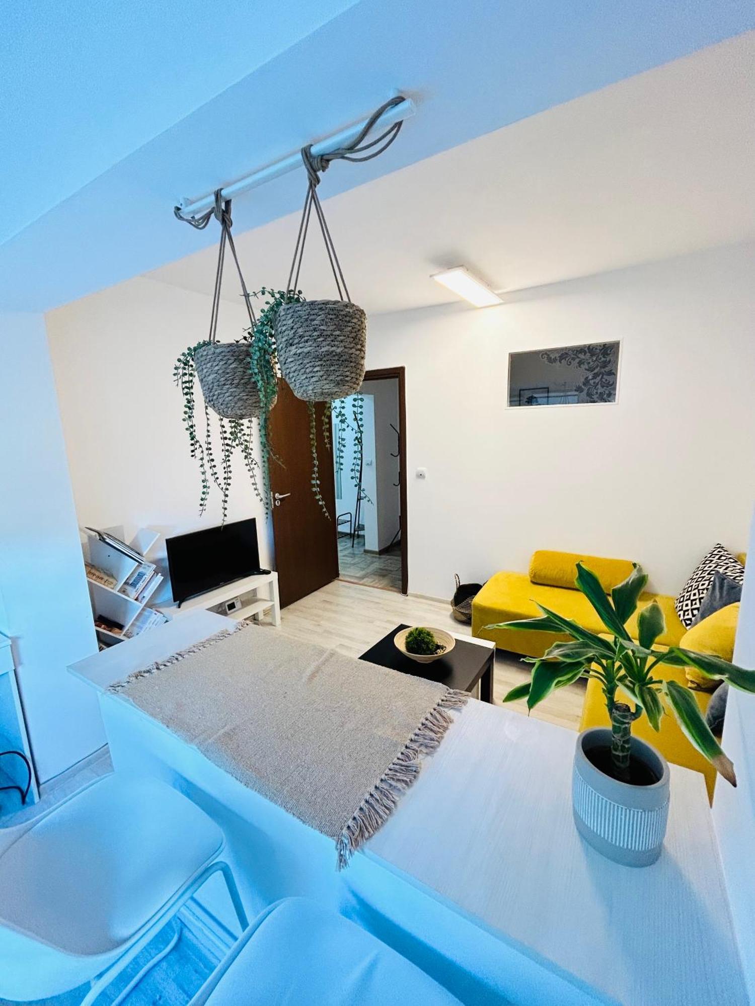Alisz Apartments Temesvár Kültér fotó