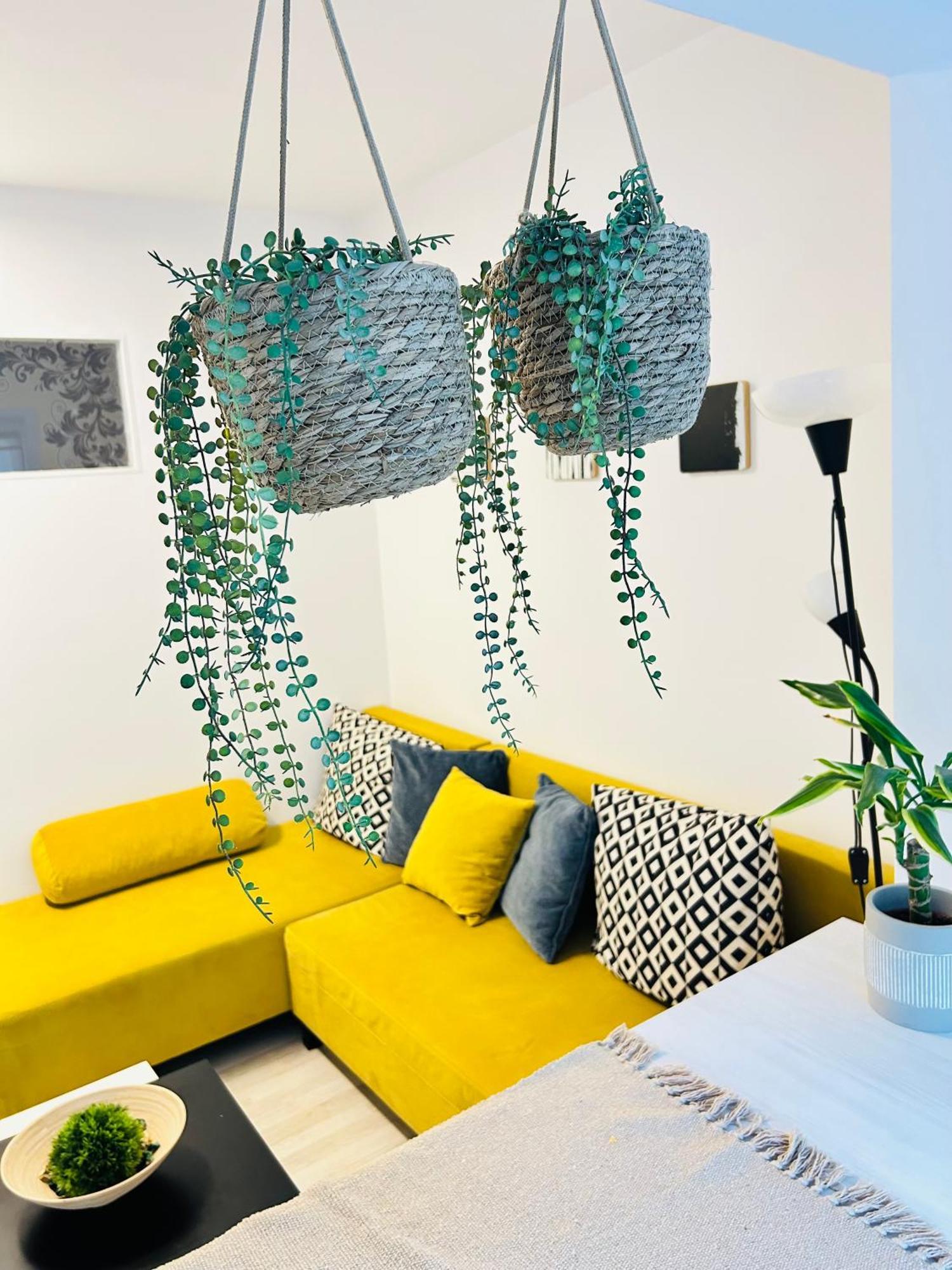Alisz Apartments Temesvár Kültér fotó