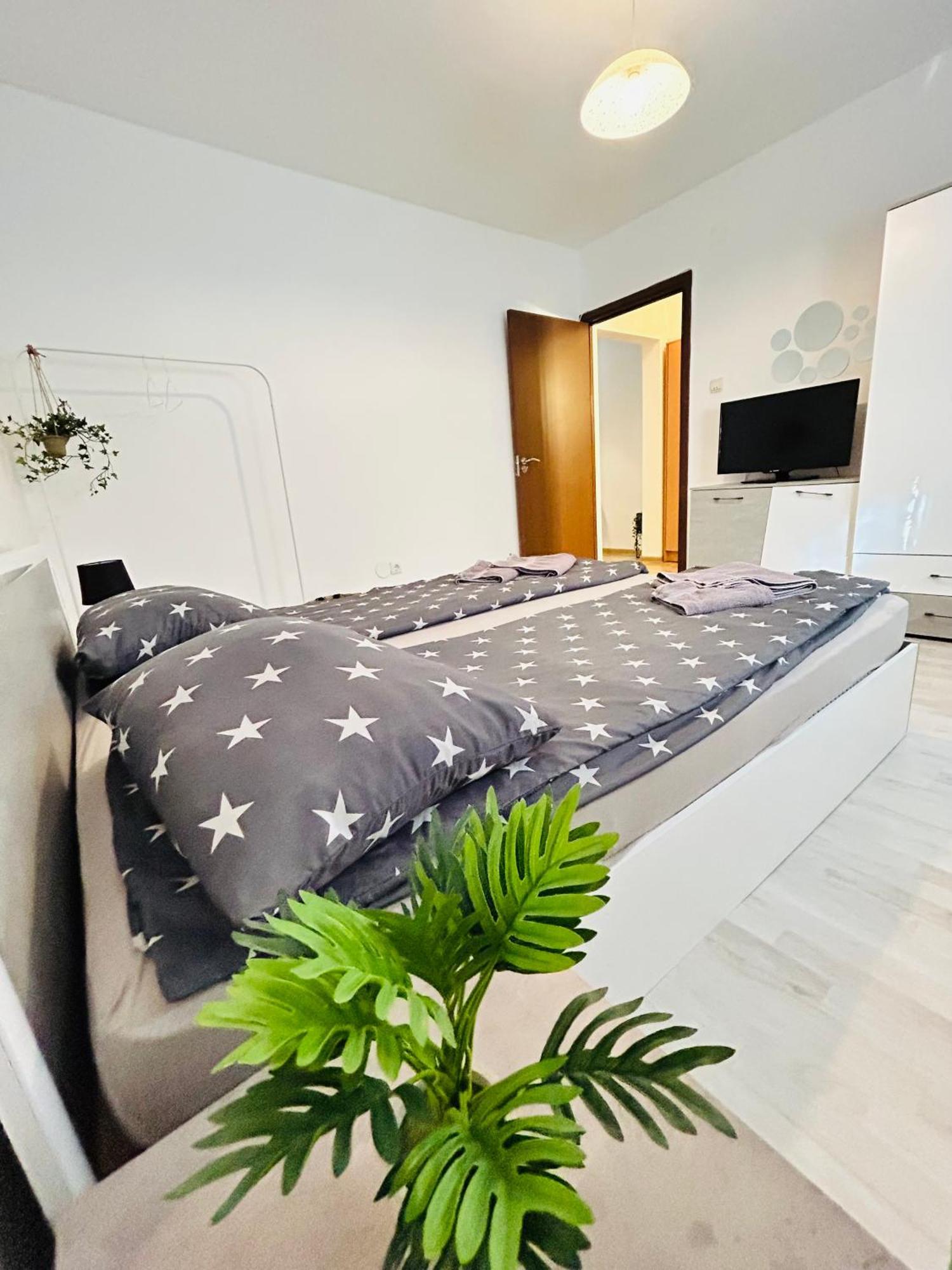 Alisz Apartments Temesvár Kültér fotó