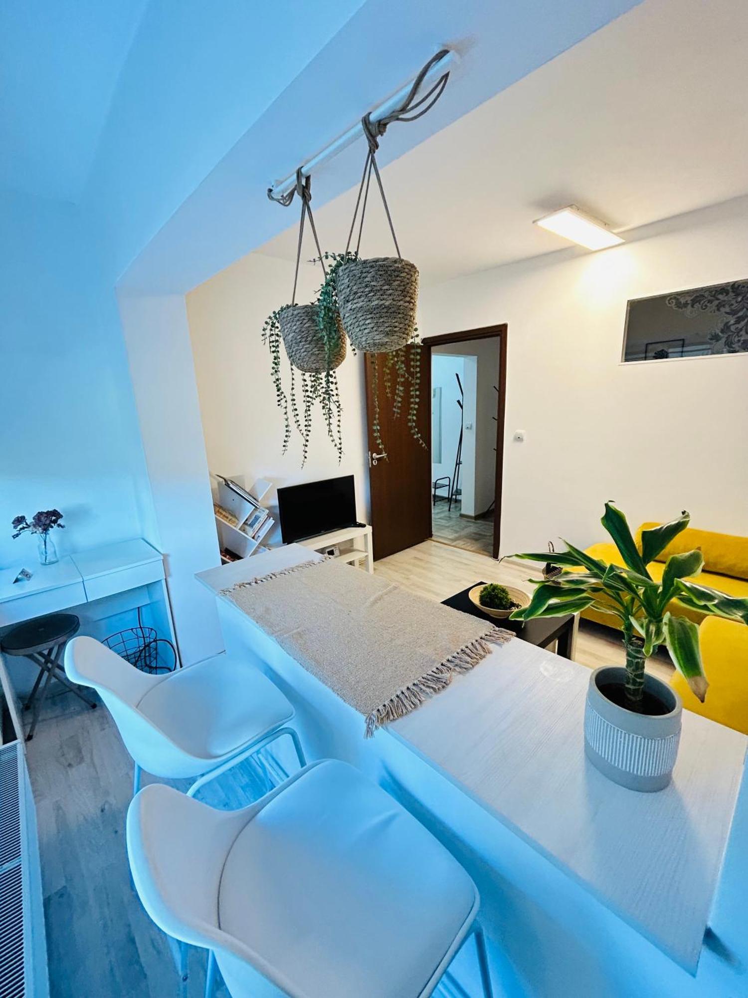 Alisz Apartments Temesvár Kültér fotó